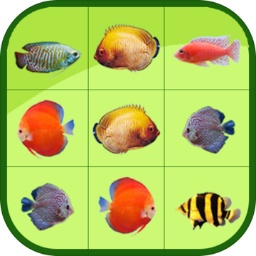 银河至尊平台APP